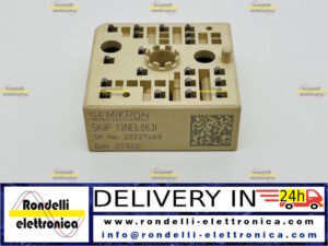 SKIIP 13NEL063I